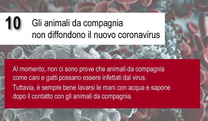 Coronavirus - 10 Comportamenti da Seguire